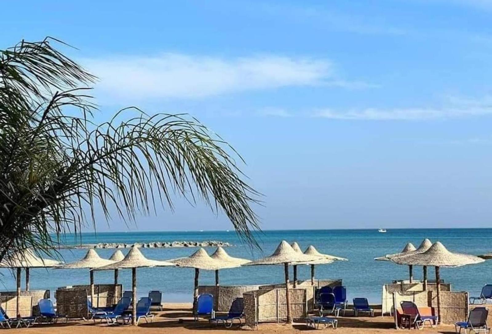 Comfort Zone At Turtles Beach Resort フルガダ エクステリア 写真